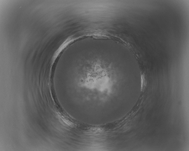 X0000077320195200610271719