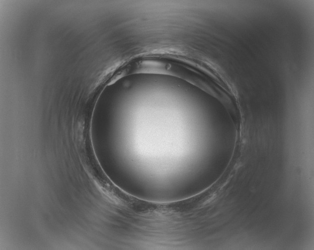 X0000077320201200610271719