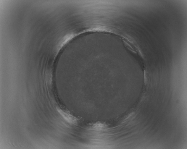 X0000077320204200610271719