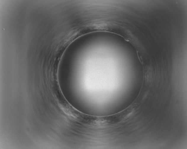 X0000077320213200610271719