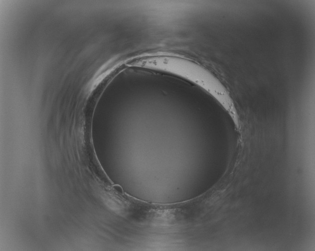 X0000077320295200610271717