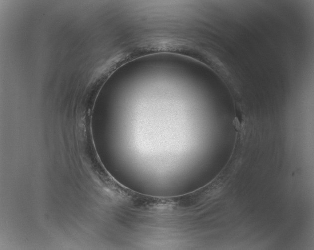 X0000077320306200610271717