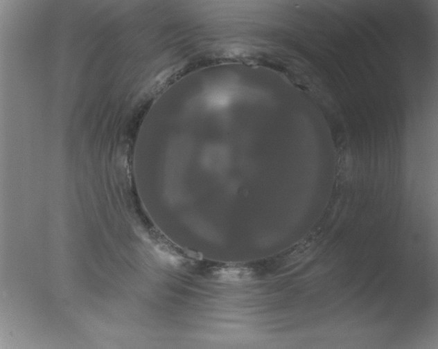 X0000077320415200610271715