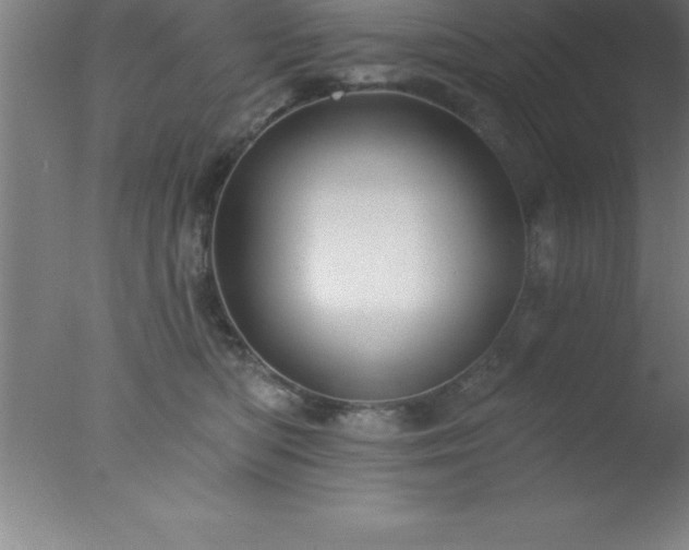 X0000077320422200610271715
