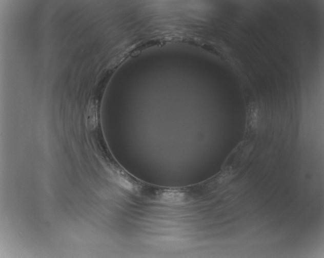 X0000077320471200610271715