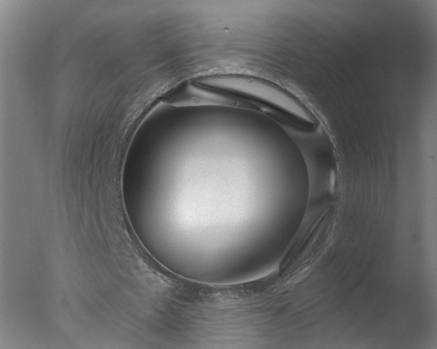 X0000077320481200610271714