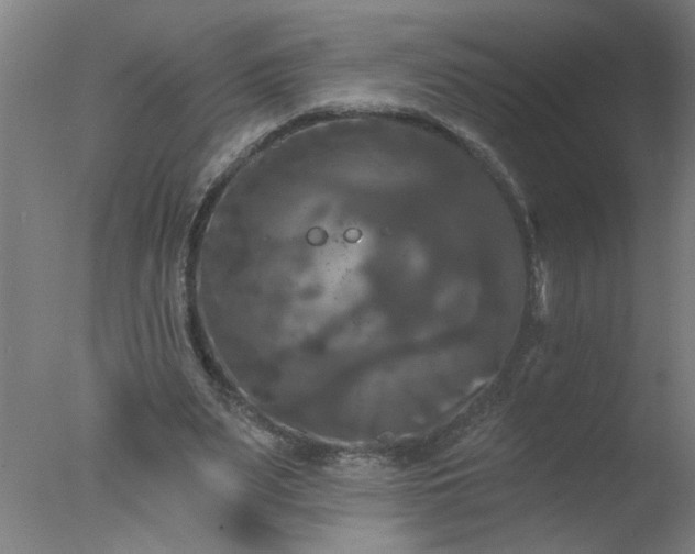 X0000077320487200610271714