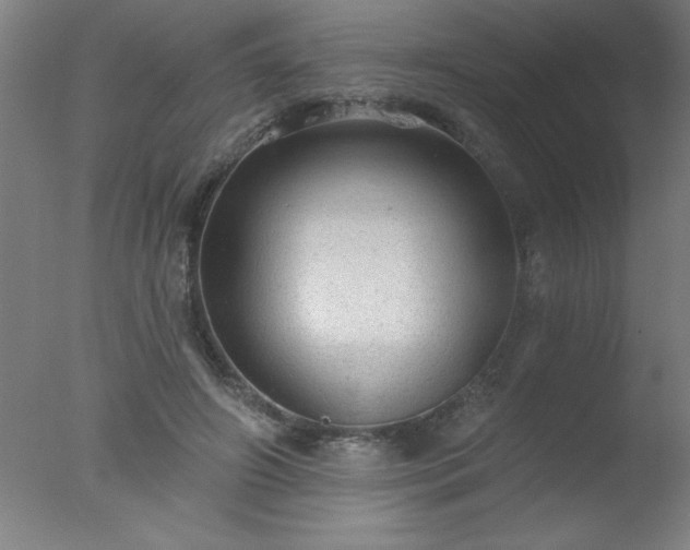 X0000077320498200610271714