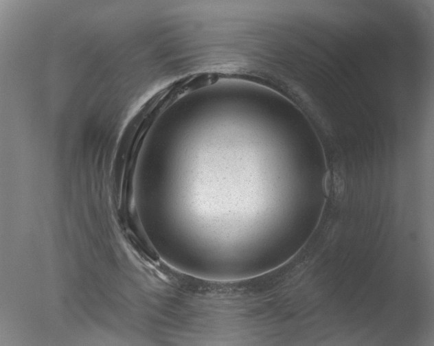 X0000077320532200610271713