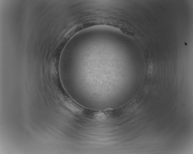 X0000077320616200610271712