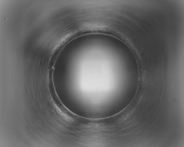 X0000077320629200610271711