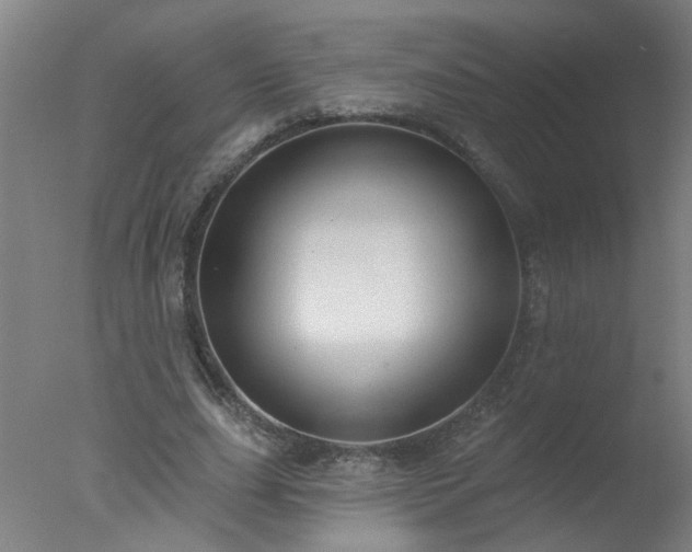 X0000077320631200610271711