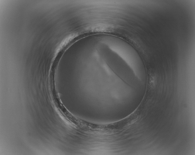 X0000077320678200610271711
