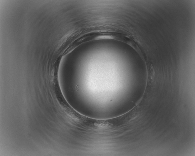 X0000077320693200610271711