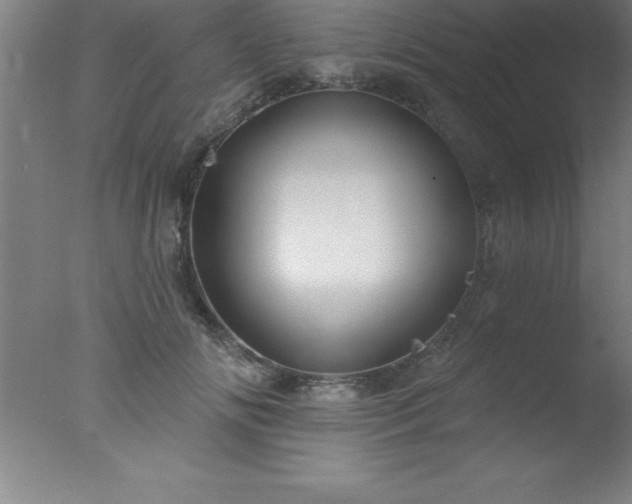 X0000077320702200610271710