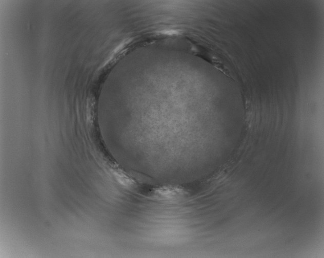 X0000077320712200610271710