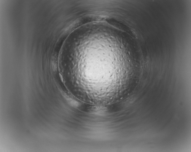 X0000077320719200610271710
