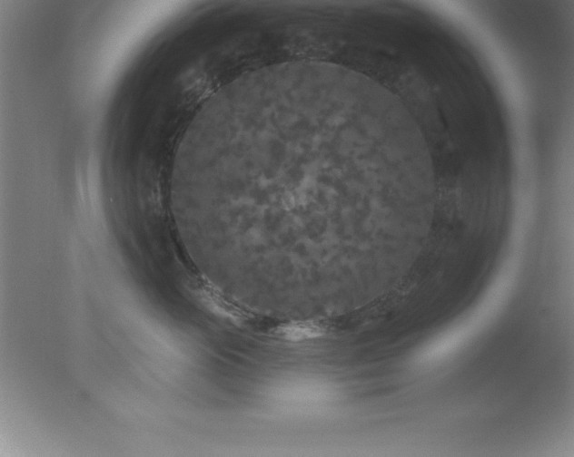 X0000077320765200610271710
