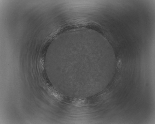 X0000077320772200610271709