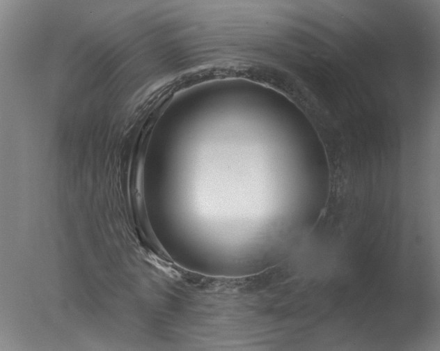 X0000077320773200610271709