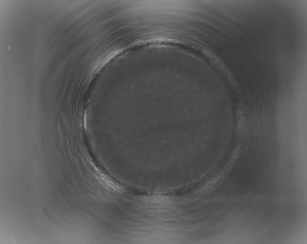 X0000077320785200610271709