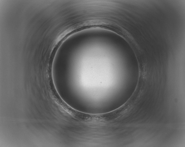 X0000077320786200610271709