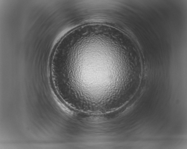 X0000077320795200610271709