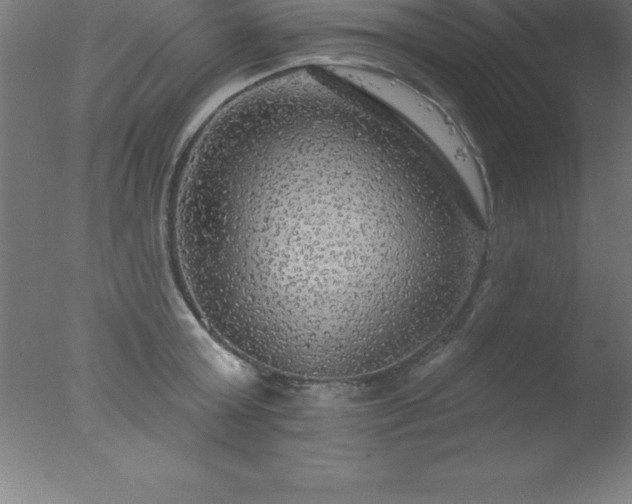 X0000077320803200610271709