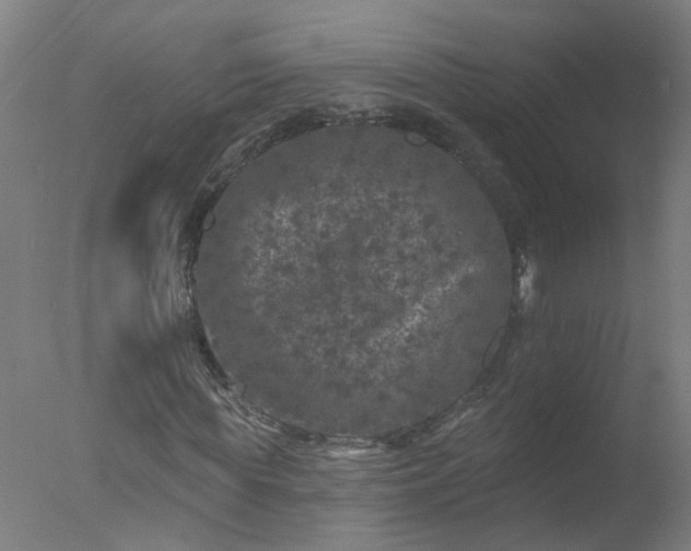 X0000077320819200610271708