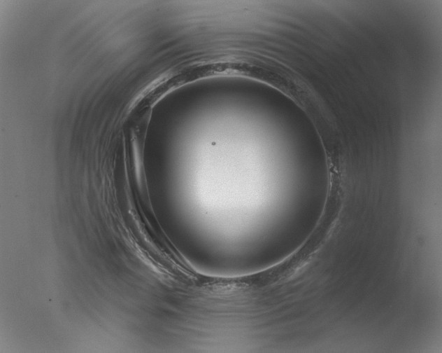 X0000077320826200610271708