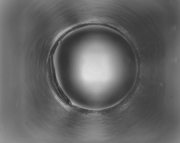 X0000077320838200610271708
