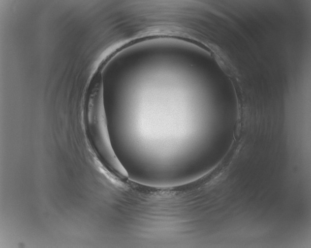 X0000077320846200610271708