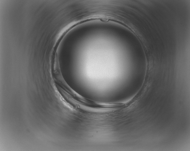 X0000077320854200610271708