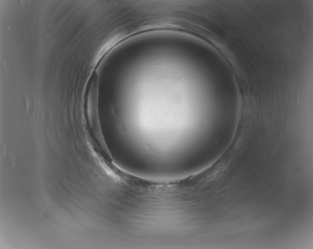 X0000077320858200610271708