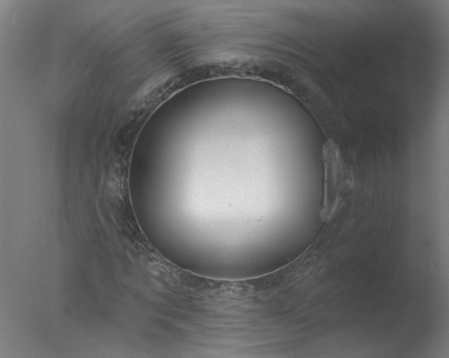 X0000077320869200610271708