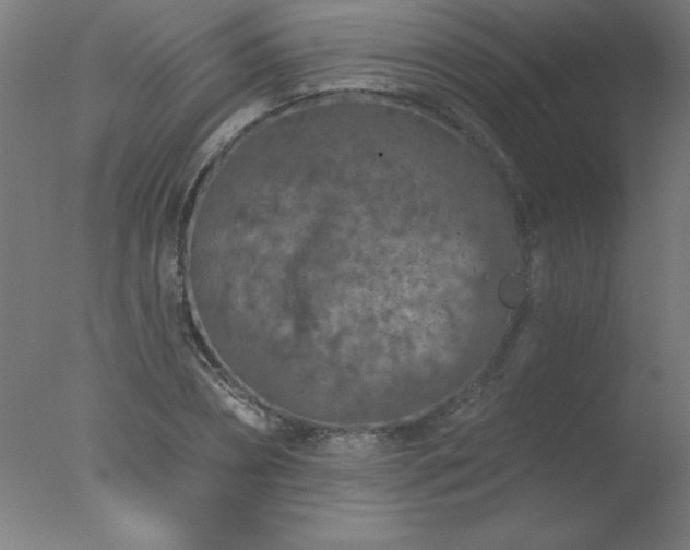 X0000077320882200610271707