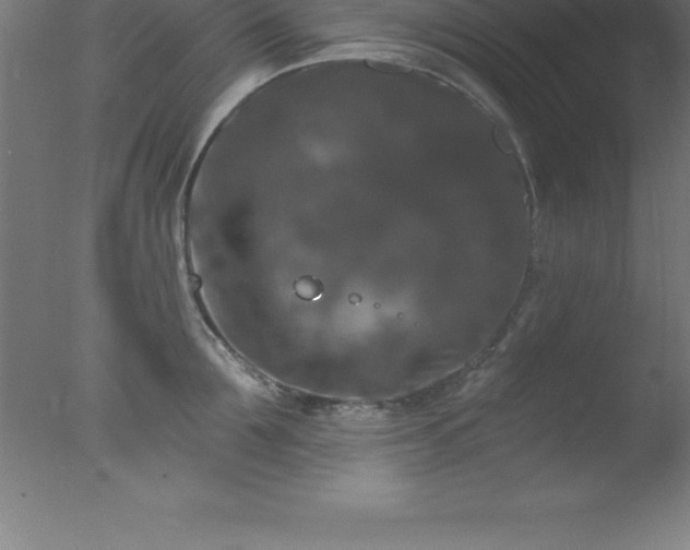X0000077320907200610271707