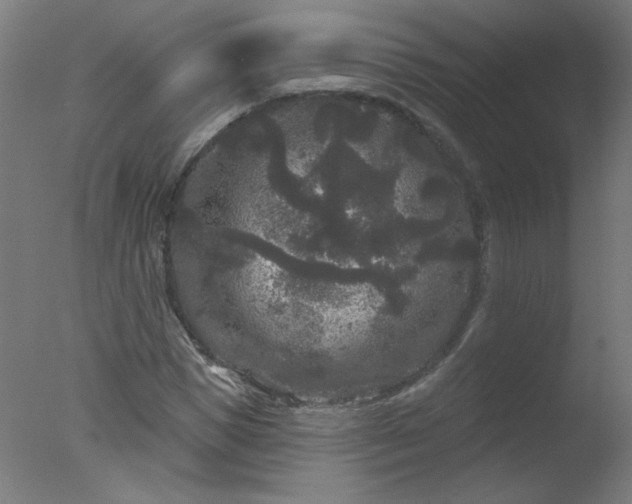 X0000077320921200610271706