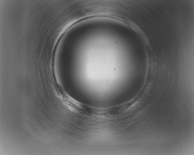 X0000077320956200610271707