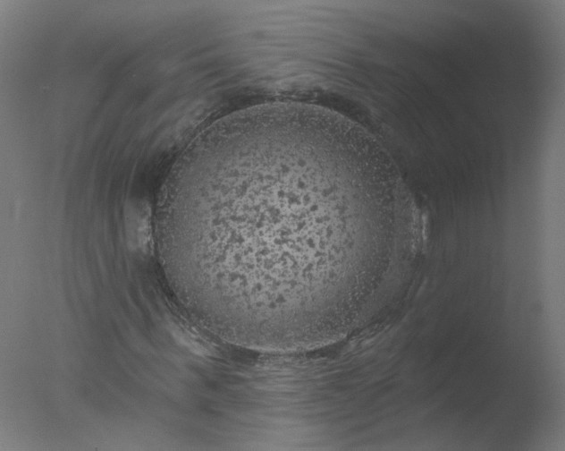 X0000077320963200610271706