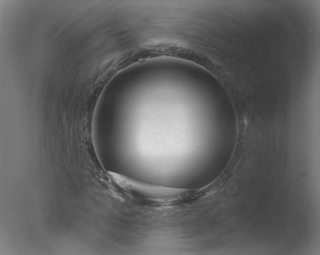 X0000077320965200610271706
