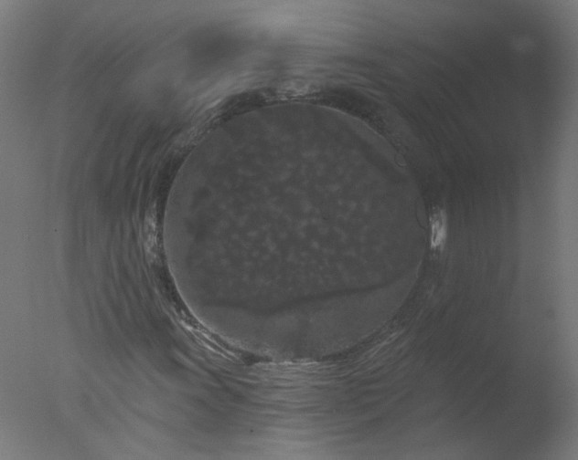 X0000077321011200610271704