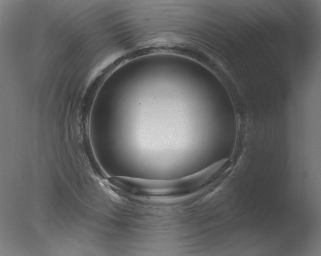 X0000077321018200610271705