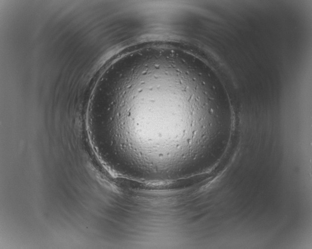 X0000077321025200610271705