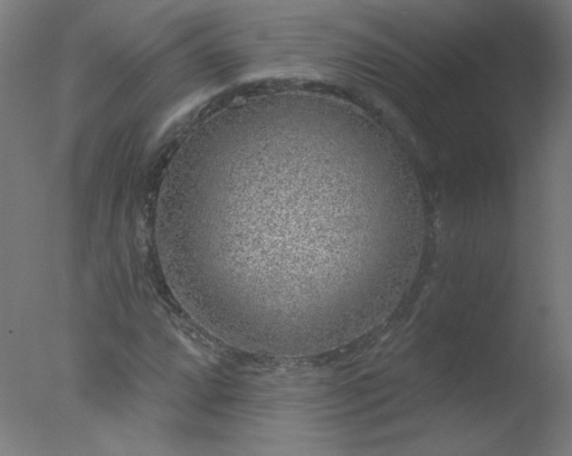 X0000077321064200610271704