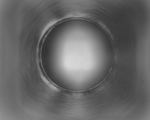 X0000077321080200610271704