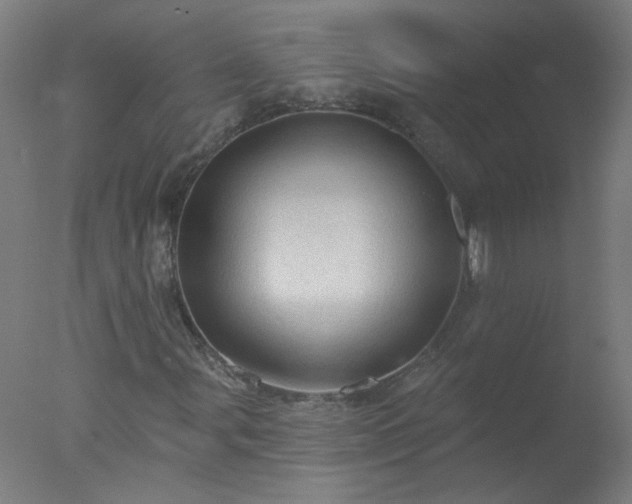 X0000077321107200610271703