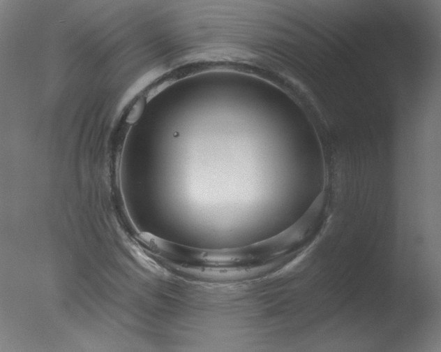 X0000077321114200610271703