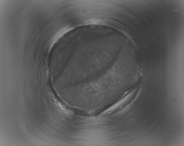 X0000077321117200610271703