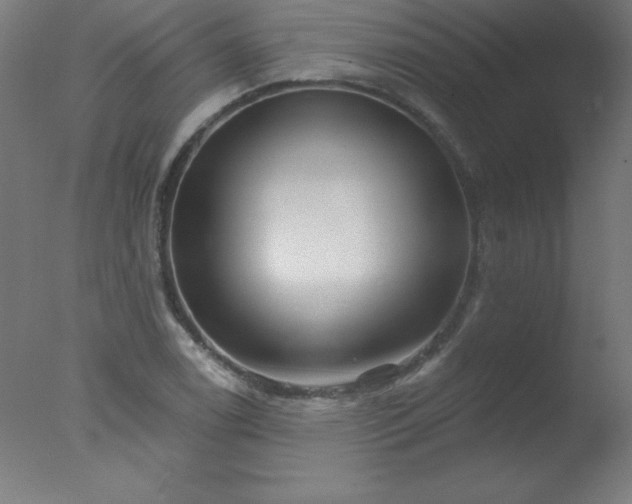 X0000077321122200610271703